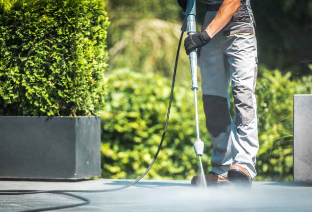 Best Animal Enclosure Cleaning  in Westwood Lakes, FL