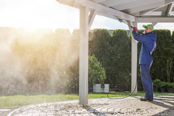Best Fleet Vehicle Washing  in Westwood Lakes, FL