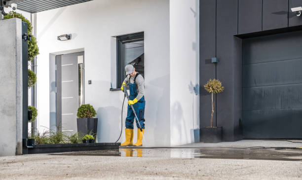 Best Driveway Pressure Washing  in Westwood Lakes, FL